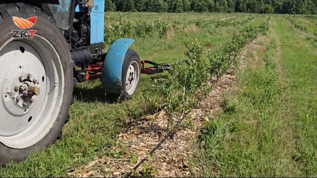 Испытания раздвижной косилки ZKT-3/4 смотреть онлайн