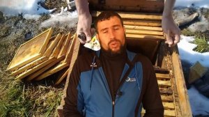 Семьи пчел будут развиваться весной. Нужно менять тех?