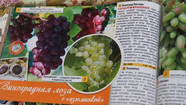 Успейте Сделать Это Сейчас, Если Хотите Урожай До Моро смотреть онлайн