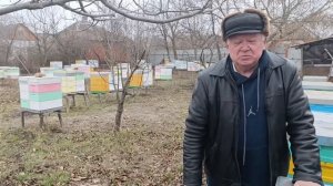 Зимовка  пчел 2025 . Состояние зимующих семей.