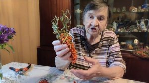 Облепиха.  Сбор облепихы быстро и легко, не тратя на эт?