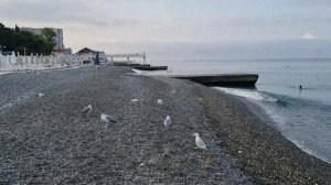 Концерт. Музыкальный взрыв: Новинки на любой вкус!