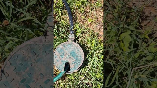 Автополив в плодовому садку☘️💧🏡 #сад #садгород #газ смотреть онлайн