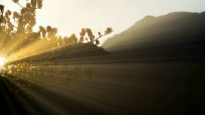 В часы тревог