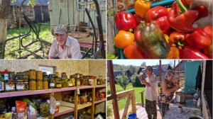 У ЛЁШИКА ЯБЛОКИ,А Я СОБРАЛА ПЕРЦЫ И ЗАНЯЛАСЬ SАМОГОНОМ. ПОКАЖУ ЧТО В КЛАДОВКЕ.