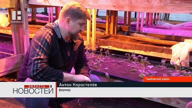 Фермер из Тамбовской области выращивает экологически смотреть онлайн