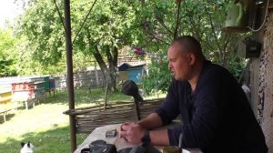 Как в отводок подставить маточник? Пчеловодство легко