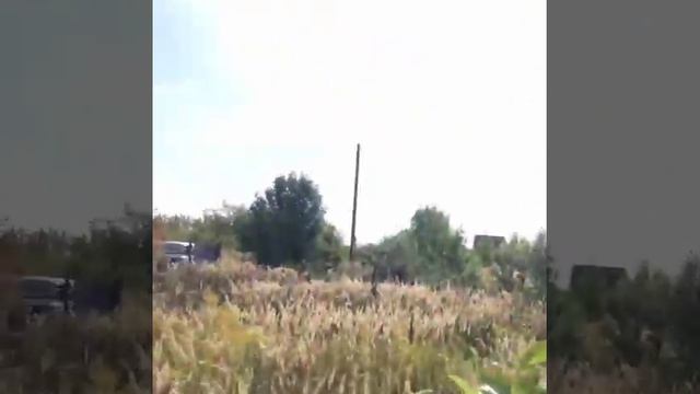 Влог.Поездка за грушами/30 августа Солнце Жара