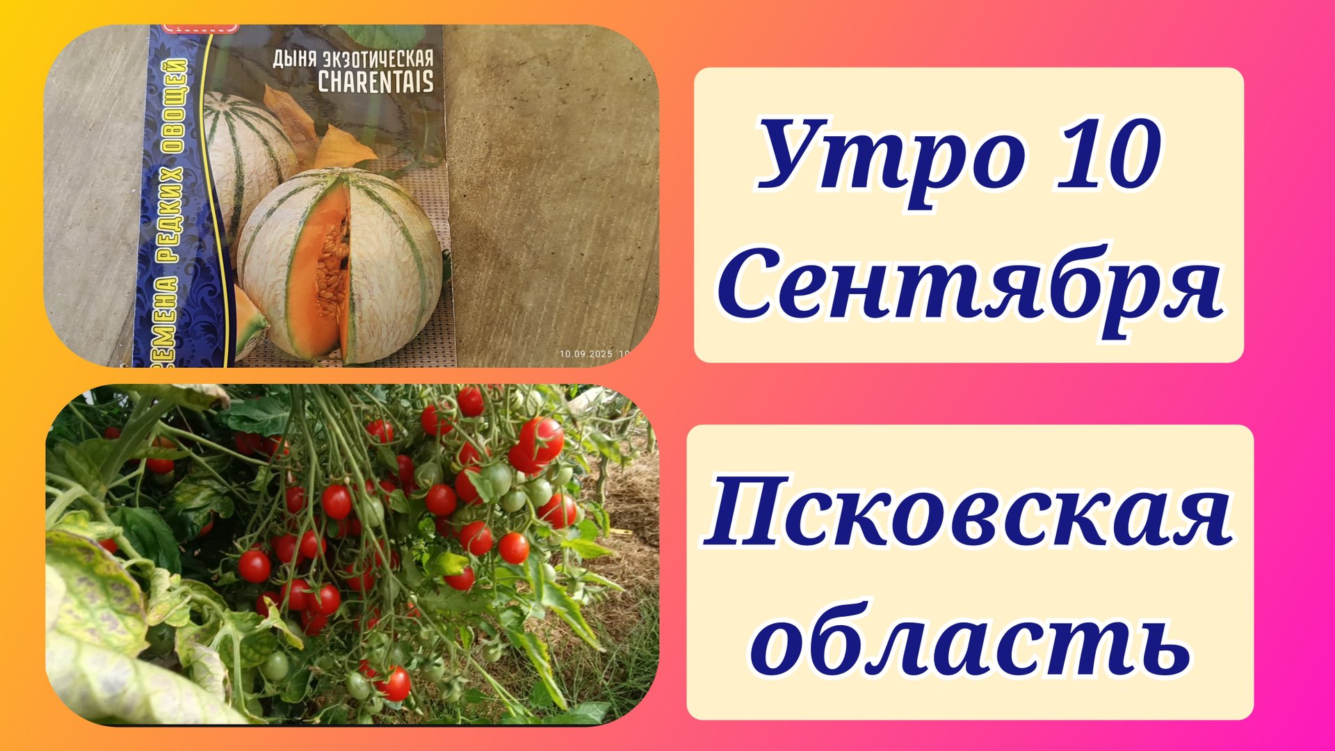 Утро 10 сентября.Снова болезнь. смотреть онлайн