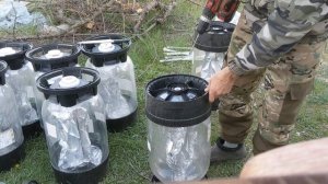 Как просто из пивных кег сделать шикарные горшки под р