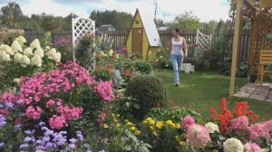 6 соток 4 сентября 2025 года. В городе Хроника.