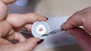 Фиалки - опыление. Как получить новый сорт фиалок.