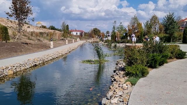 Диковинные рыбы.mp4