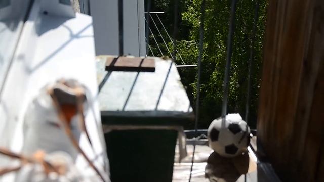 Пчелы оккупировали балкон, соседи в шоке.😧 смотреть онлайн