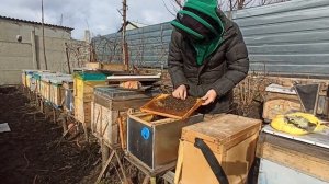 Пчеловодство метод Гопка или Спасение пчел от голода ?