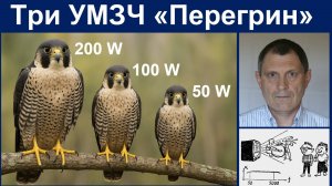 Три Перегрина