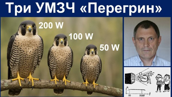 Три Перегрина