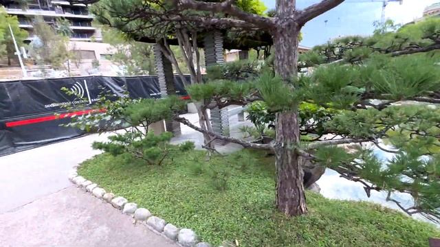 🇲🇨❤️🇲🇨 Японский сад в Монако — дзен среди небоск