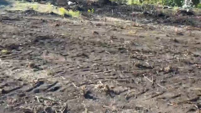 Часть 3. Расчистка участка трактором. Корчевание пней.