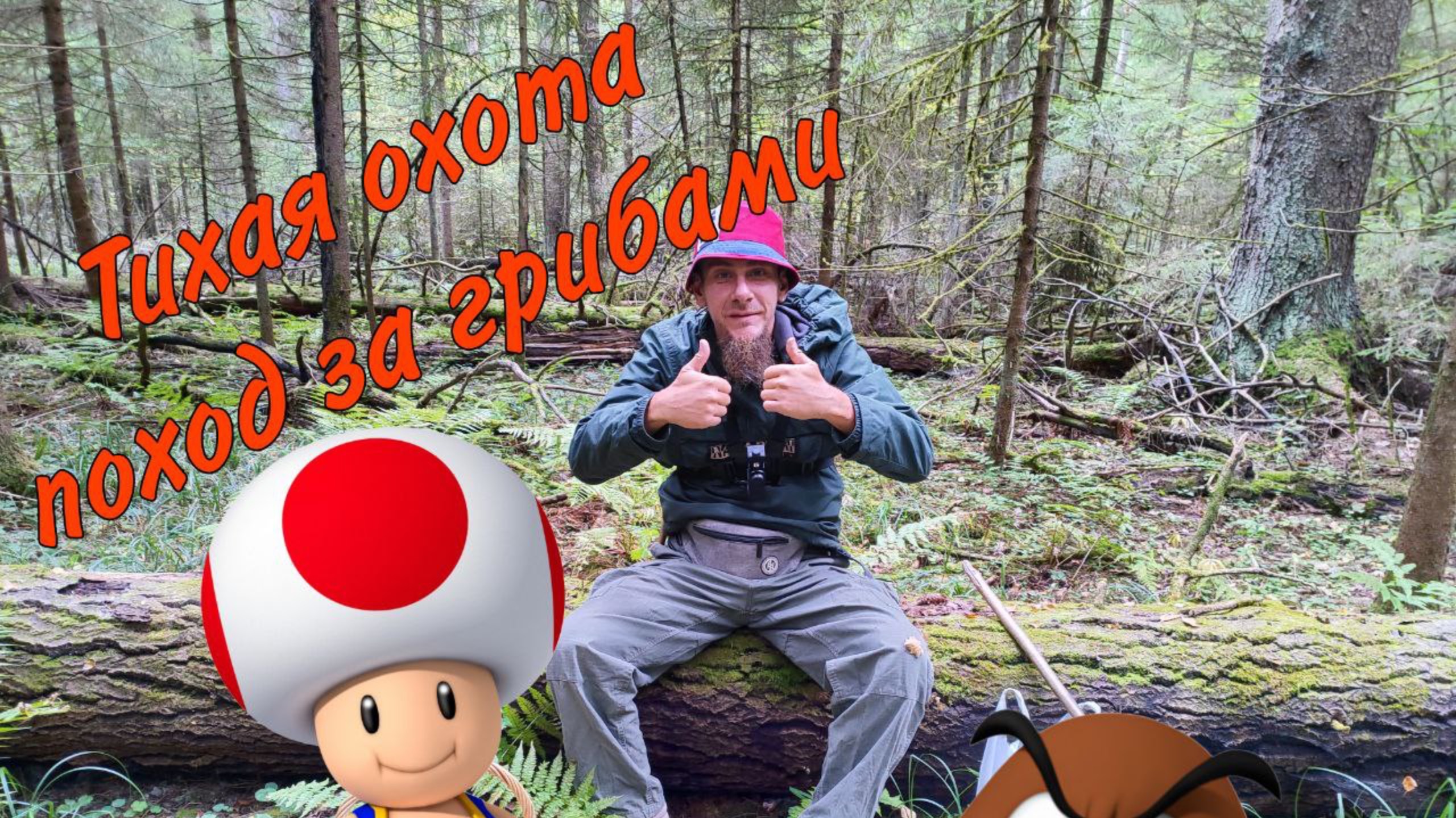 Тихая охота. Море грибов)