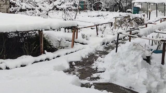 РОЗЫ. КАРКАСЫ ДЛЯ РОЗ, КОТОРЫЕ НЕ ПРОВАЛИВАЮТСЯ. СНЕГ. ?