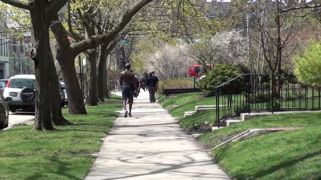 13. Апрель в Чикаго. 2017 год. Всё цветёт.