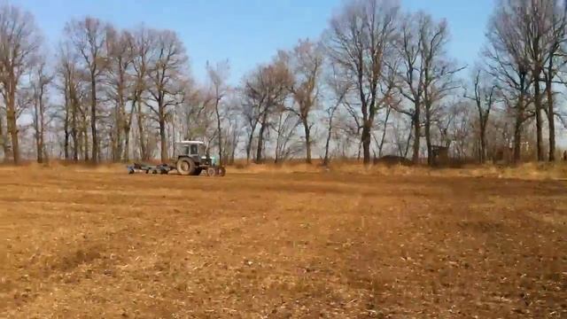 Как сеют горох в Украине.