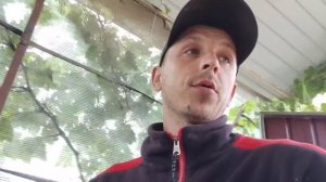 🌽 Как правильно пасынковать кукурузу: