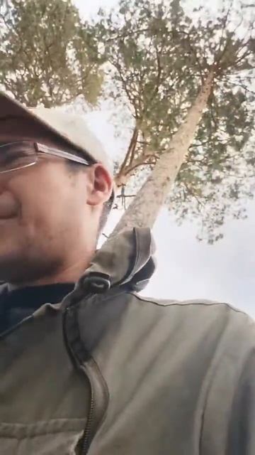 Грибы (Беседка - 2)