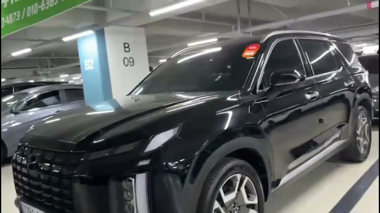 Hyundai Palisade смотреть онлайн