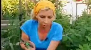 Дачные радости.Марина Рыкалина и Виталий Декабрев.