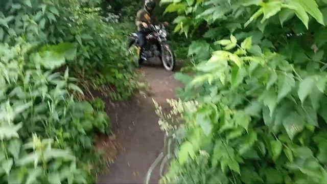 2 часть в лесу выезжаю на дорогу смотреть онлайн