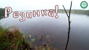 ВЫСТАВИЛИ РЕЗИНКУ И ТУТ ЖЕ ПОКЛЁВКА! ЩУКА, ОКУНЬ НА ЗАБЫТУЮ ДЕДОВСКУЮ СНАСТЬ, ЛЕСКА РЕЖЕТ ПАЛЬЦЫ!