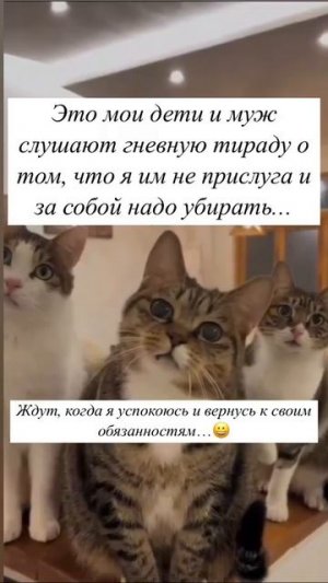 Ваше мнение очень важно для нас 🤣