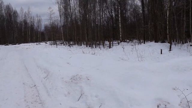 Измельчение веток при расчистке дороги