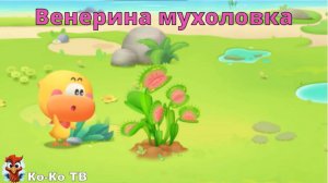 Игра "BabyBus. Венерина мухоловка". Детская познавательная игра. (бейбибас, панда Кики).