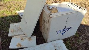 смола на абрикосе.как я вылечил  камедь на абрикосе.#св
