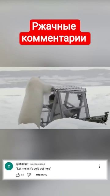 Белый медведь и человек смотреть онлайн