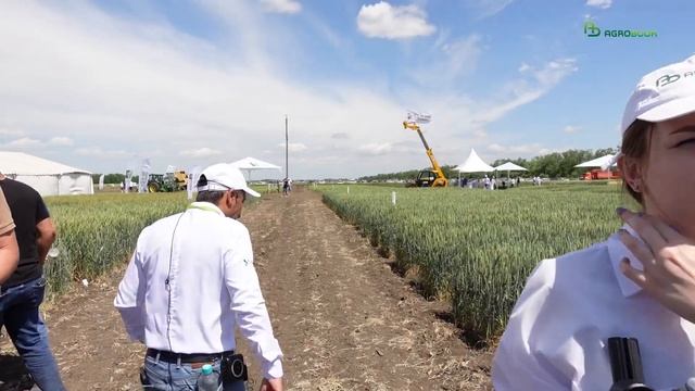 Технология выращивания озимой пшеницы в «РЗ Агро семе смотреть онлайн