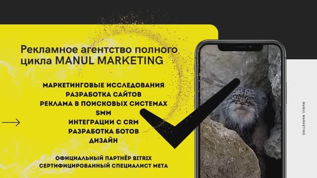 Презентация MANUL MARKETING