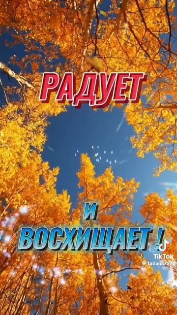 Осень красивая!🍂 смотреть онлайн