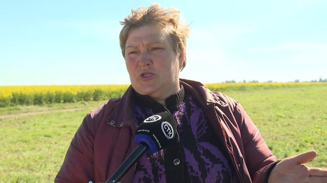 Капризы погоды не помеха. Посевная кампания в агрофир?