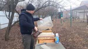Объединяем пчел зимой. Зимовка 2024 2025.