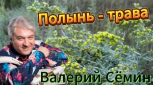 Нежная душевная песня! Полынь - трава!