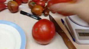 Сорта томатов БАРАНЬЯ СУМКА И ВЕРАЧЕ . Красивые вкусны