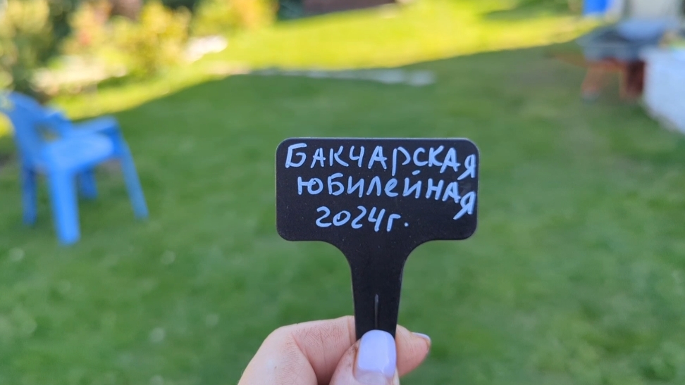 14-09-2025.Дача.Раскопки продолжаются)Подписываю всех! новые таблички! смотреть онлайн