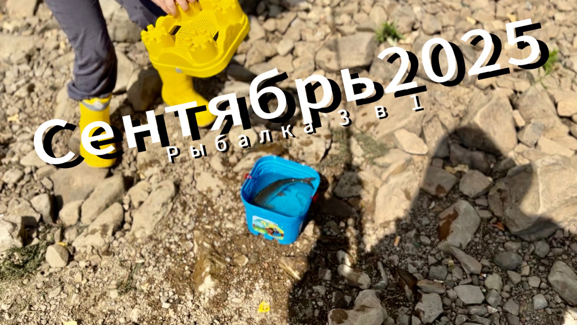 Сентябрь 2025. Рыбалка 3 в 1. Щука, бель, плотва. Что-то поймал...