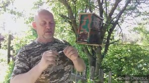 Как привлечь пчелиный рой в вашу ловушку!