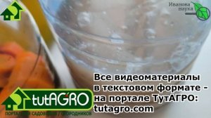 Что делать дальше с выращенной из закваски Боверия-MIX ?