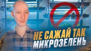 Забудь про старый способ! Новая технология выращивания микрозелени